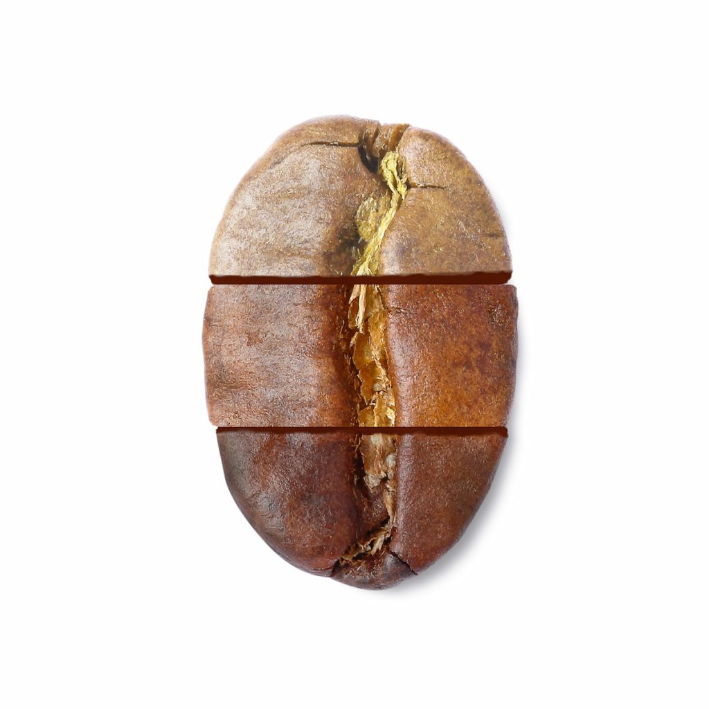 Different Types of Coffee Roasts